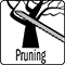 pruning